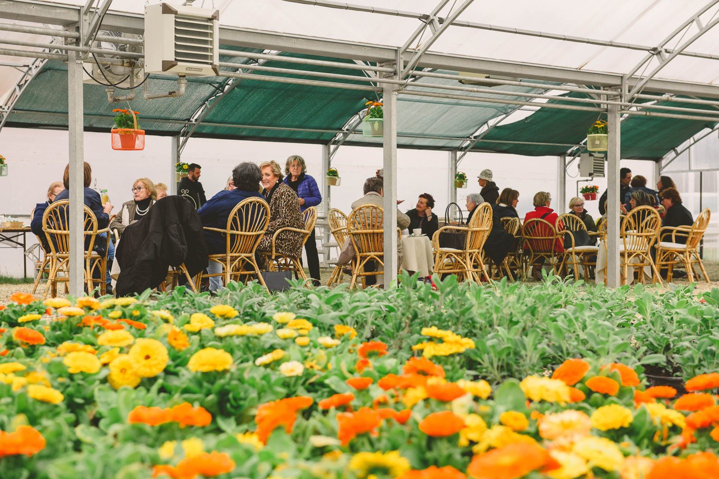 Garden club 04