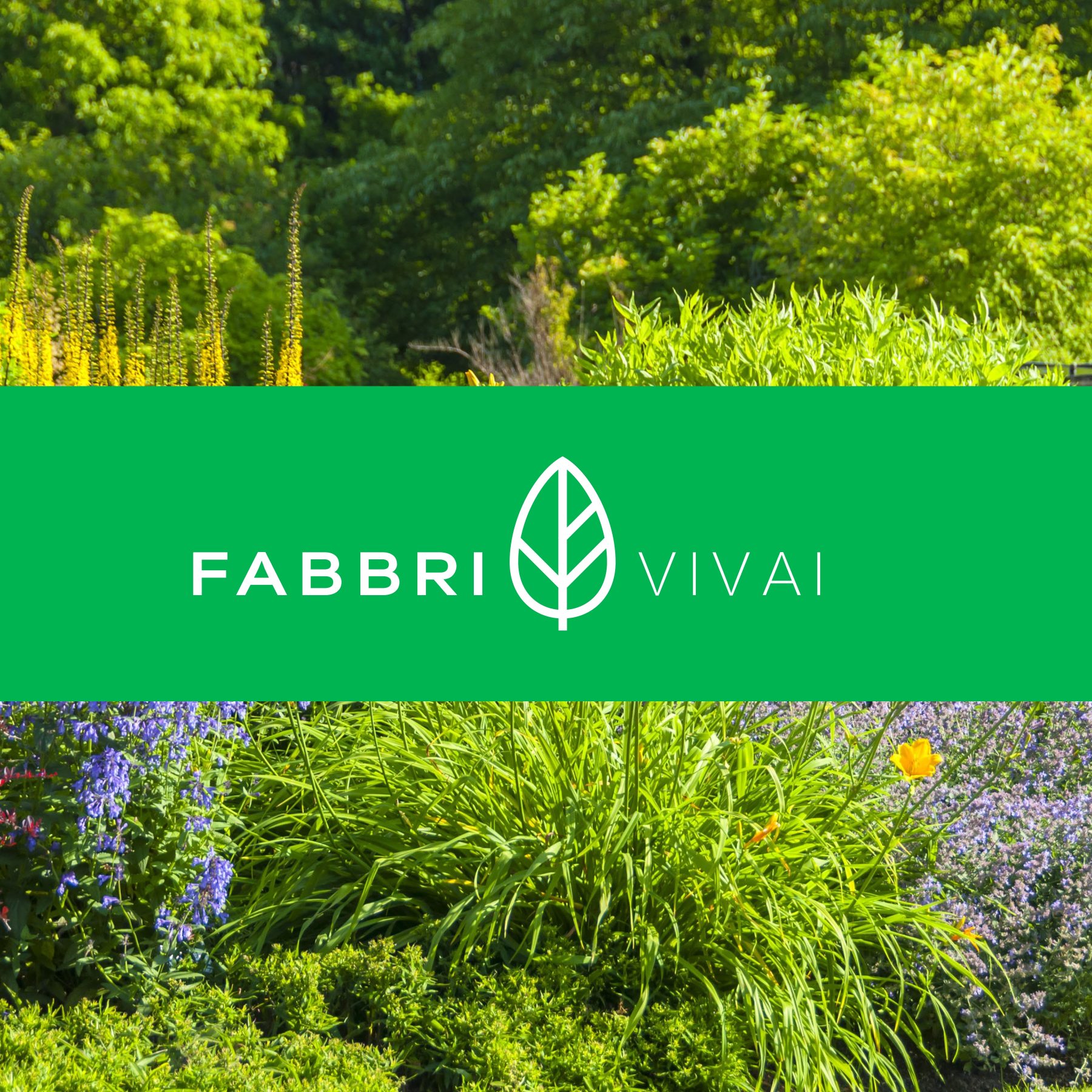 Landing fabbri evento