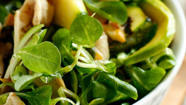 Landing insalata pollo