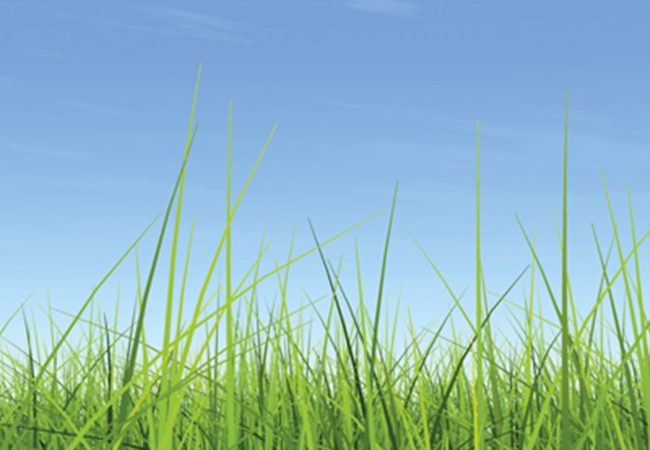 Landing evento zero spreco settembre