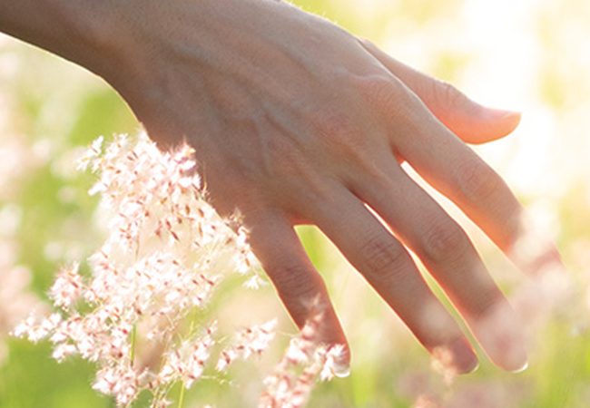 Landing evento zero spreco