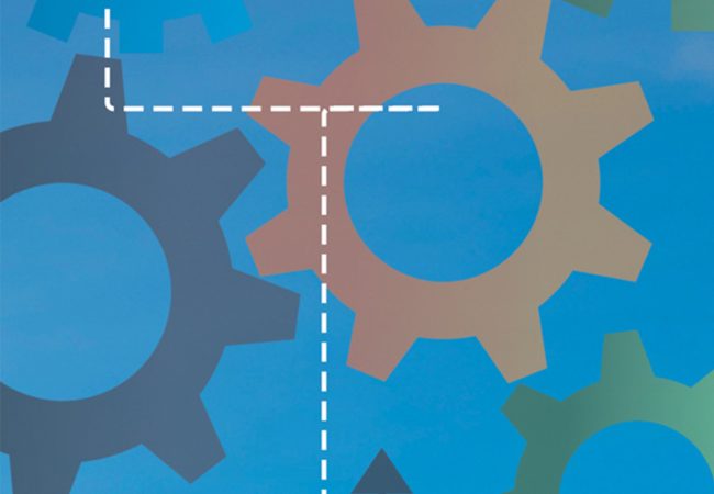 Landing le societa a partecipazione unica