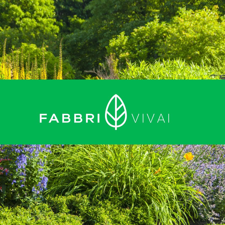 Landing fabbri evento