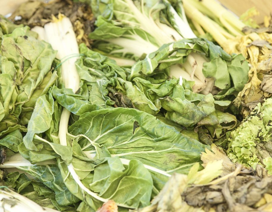 02 compostiera aisa zero spreco