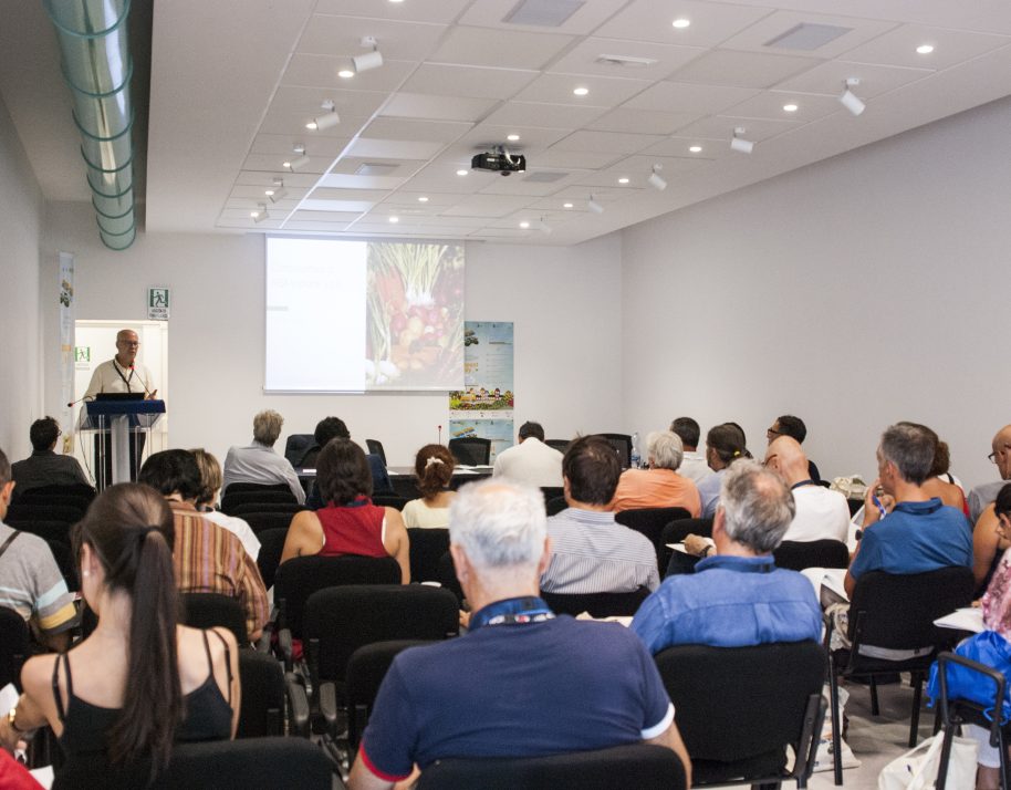 Corso formativo Alberti2